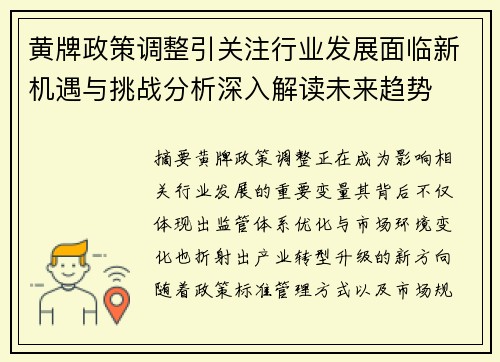 黄牌政策调整引关注行业发展面临新机遇与挑战分析深入解读未来趋势
